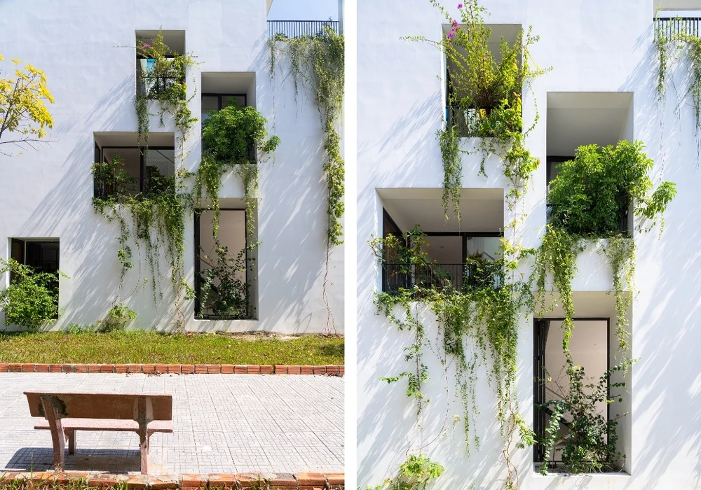 nha-pho-ngap-tran-cay-xanh-3