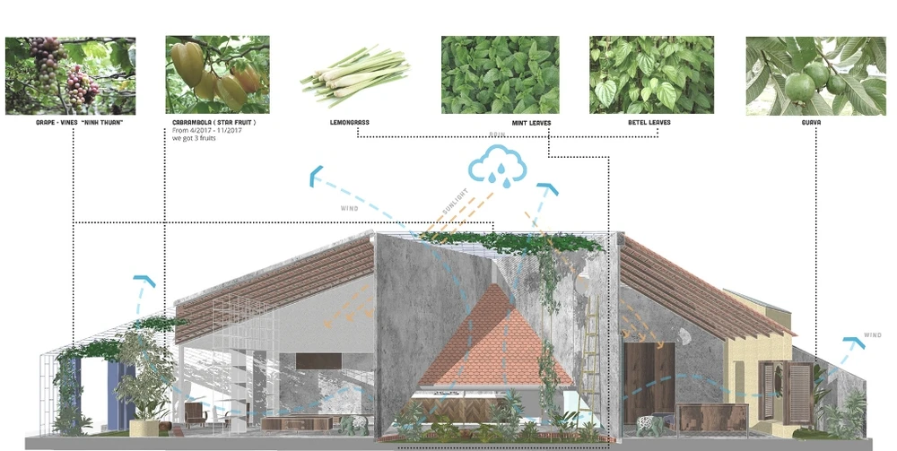 ngoi-nha-giao-hoa-thien-nhien-14