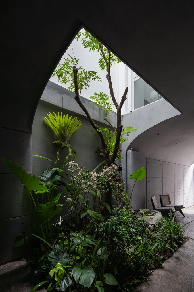 ngoi-nha-co-cau-truc-vom-11