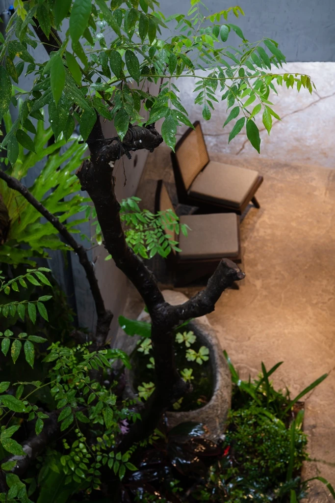 ngoi-nha-co-cau-truc-vom-12