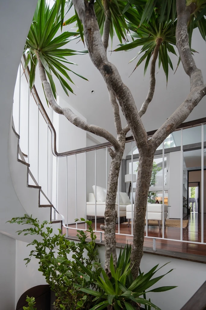 ngoi-nha-co-cau-truc-vom-13