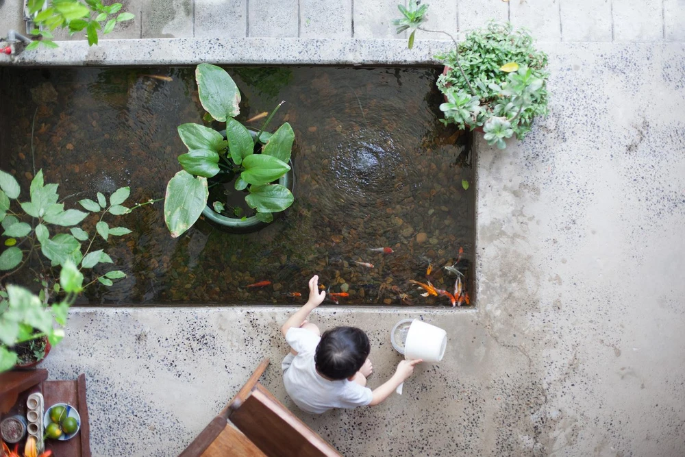 Thiết kế một hồ cá nhỏ là điểm nhấn của ngôi nhà, vừa tạo điểm nhấn về thẩm mỹ vừa giúp điều hòa không khí trong nhà.