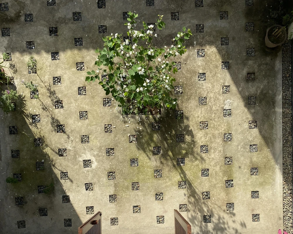 Hoa Ban, một loài hoa gắn liền với đời sống người Thái cũng được trồng ở trong sân để làm nổi bật.