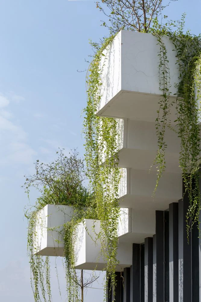 Dàn cây leo góp mặt làm cho công trình thêm xanh hơn.