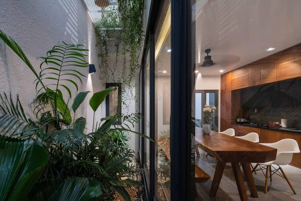 Kiến trúc sư đề xuất thiết kế ngôi nhà theo không gian mở, bố trí nhiều cây xanh, tận dụng được gió và ánh sáng.