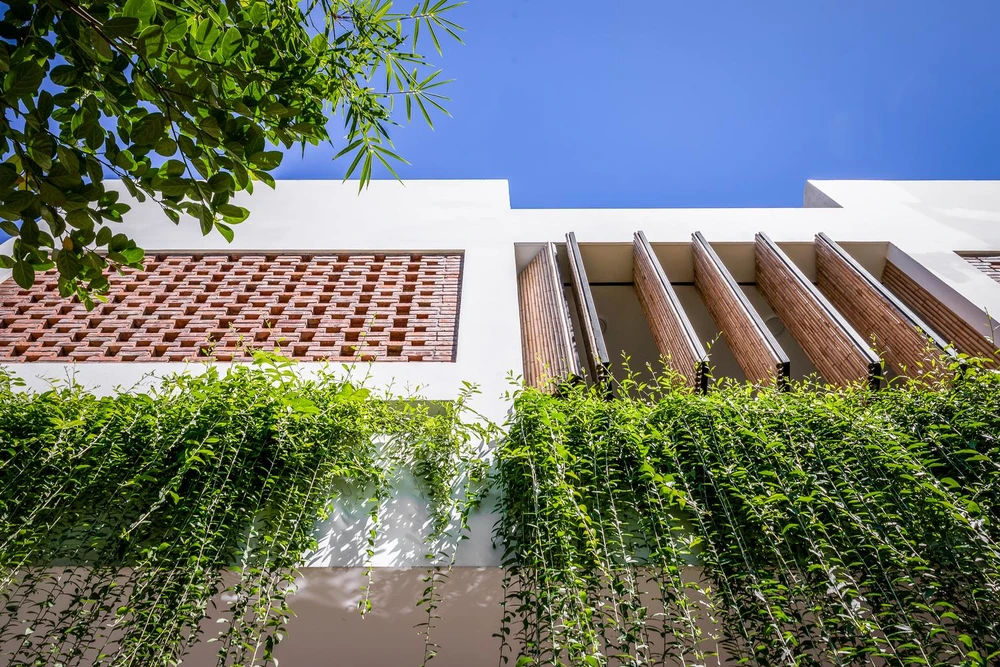 Từ bên ngoài nhìn vào công trình là màu xanh ngát của dàn cây leo.