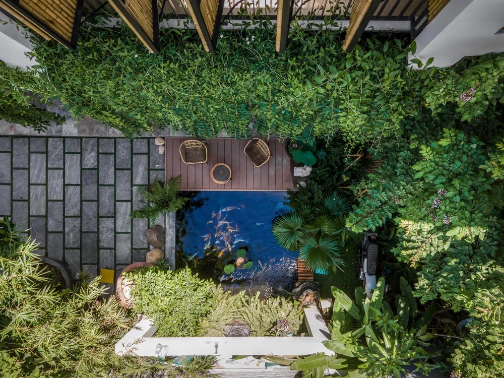 Khu vực sân vườn, kiến trúc sư thiết kế hồ cá Koi đặt trước hướng gió Phơn có hơi nước để giảm bớt sức nóng của nguồn gió đặc trưng ở Đà Nẵng vào mùa hè.