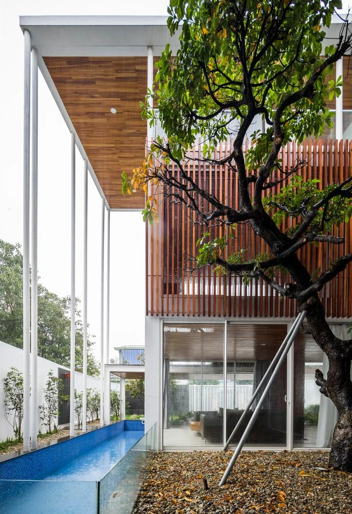 Bể bơi được bố trí bên cạnh khu vườn