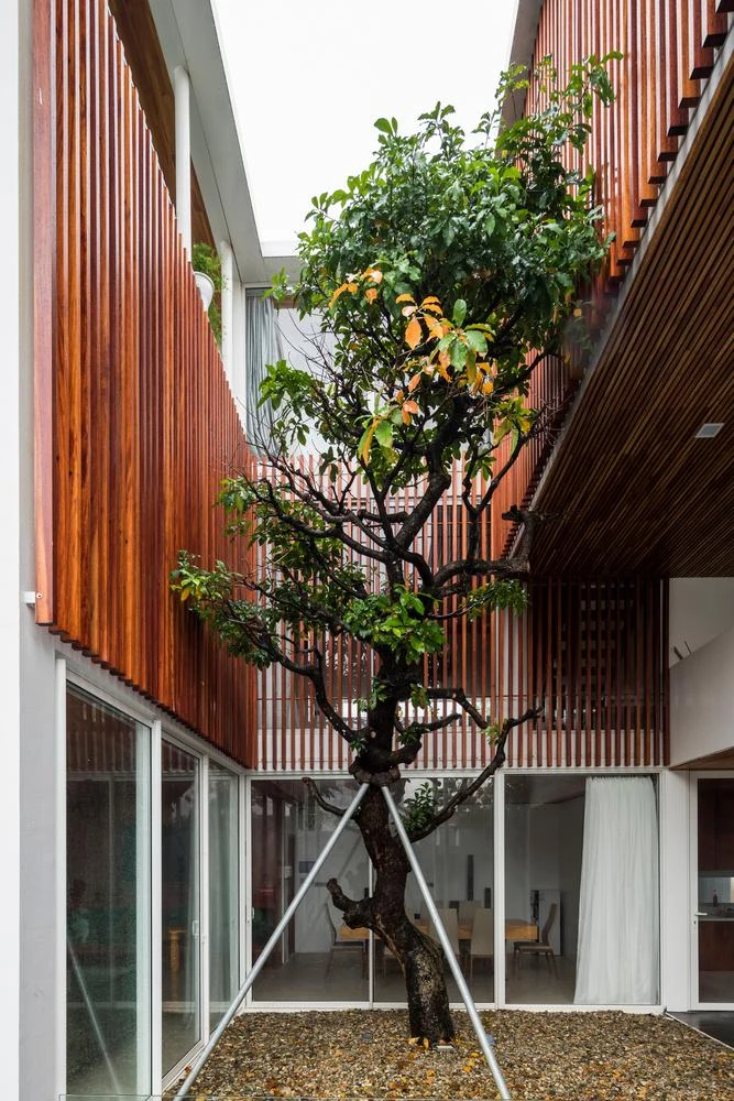 Kết nối hai khối nhà là khoảng trống lớn có trồng cây xanh cao.