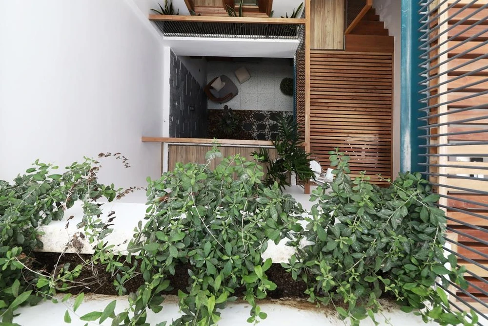 Các phòng chức năng trong nhà đều được tiếp xúc thông thoáng tự nhiên thông qua các khoảng thông tầng giữa và sau nhà.