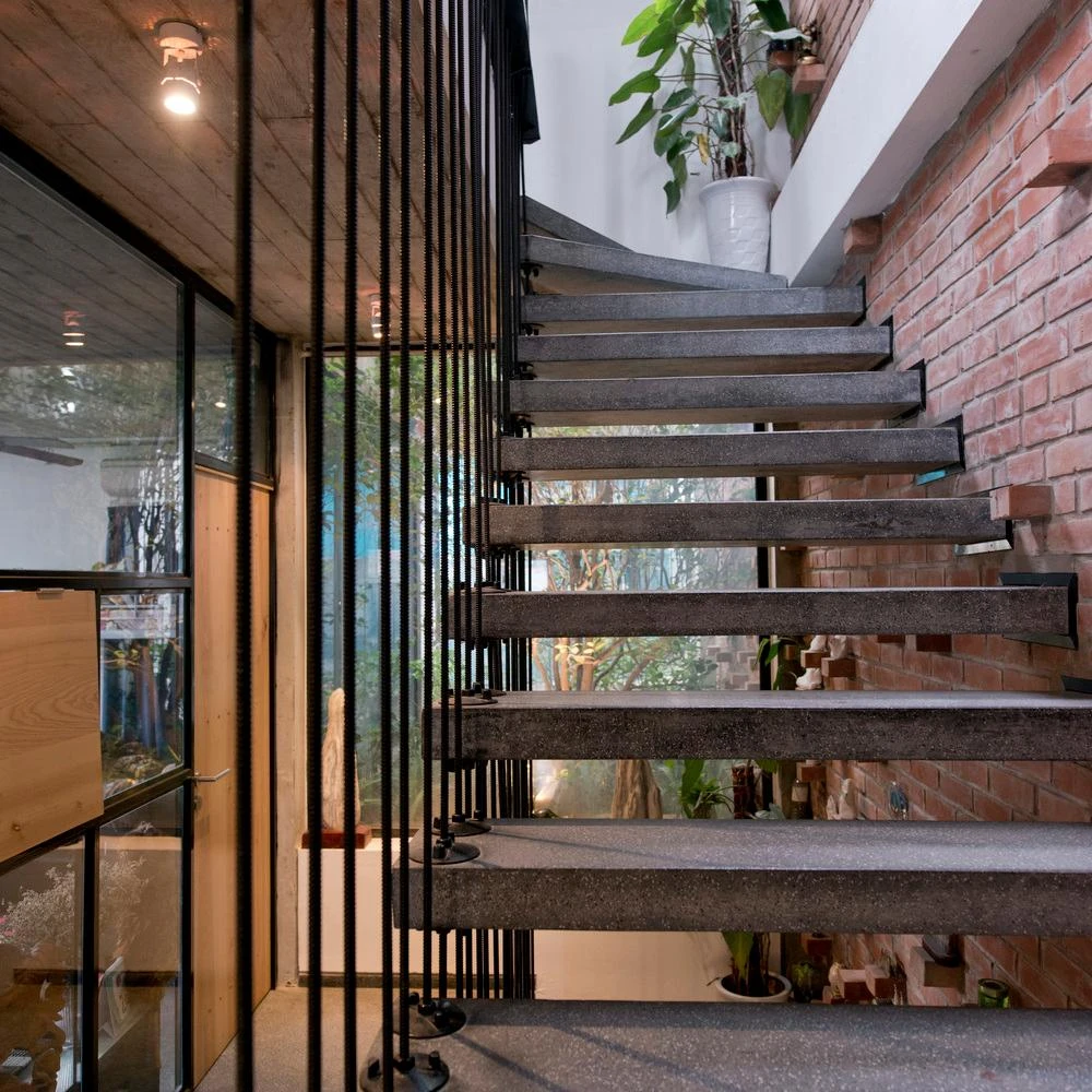 Mọi ngóc ngách trong nhà đều có sắc xanh của cây lá.