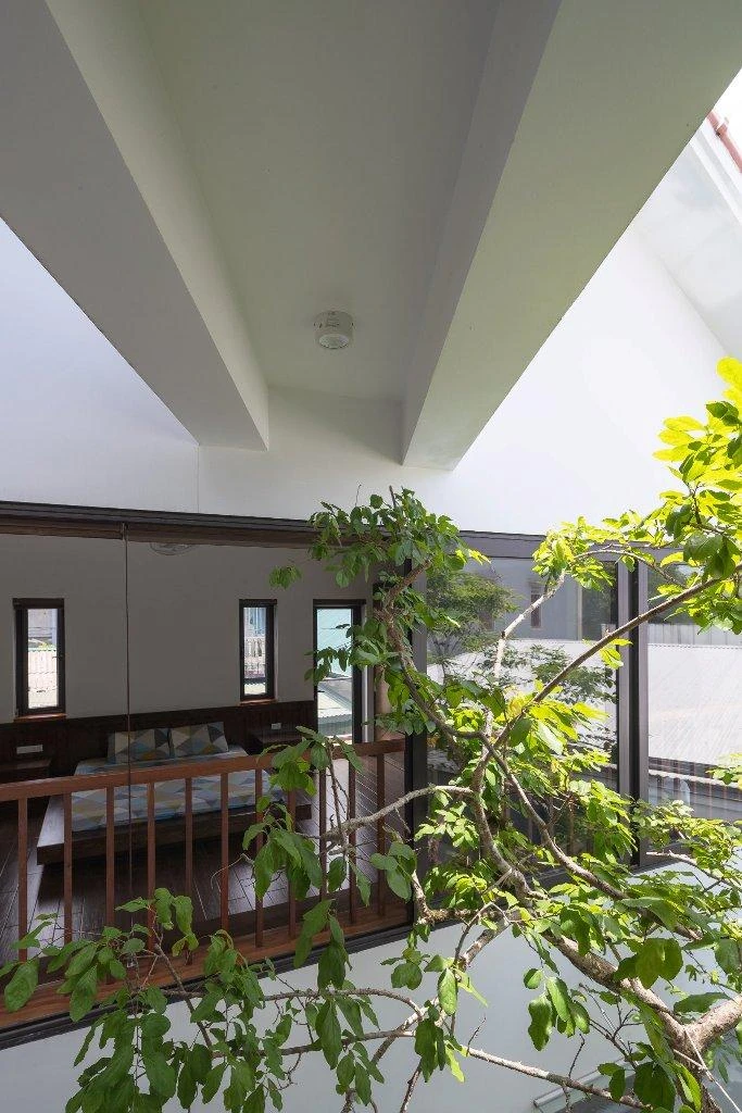 Lõi xanh trên còn là sân chơi xanh mát bên trong nhà của gia đình.