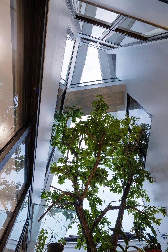 Một lõi xanh được bố trí tại trung tâm của ngôi nhà vừa làm khoảng đệm chuyển tiếp với khu vực kinh doanh.