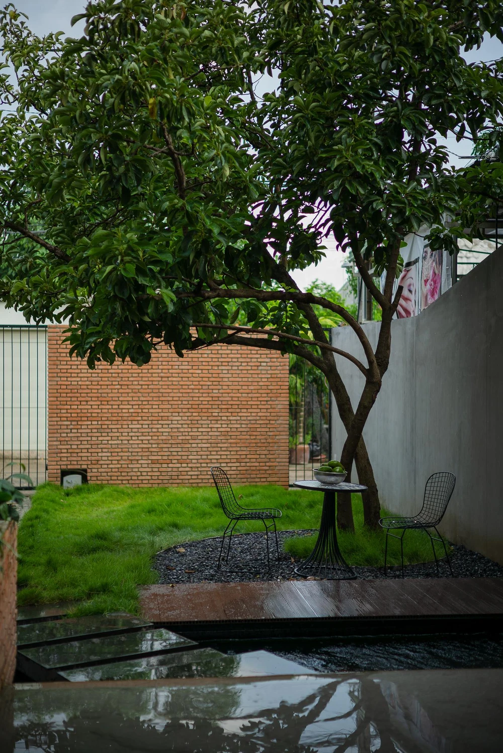 Kiến trúc sư giữ lại cây xanh lâu năm tạo mảng xanh và bóng mát cho công trình.