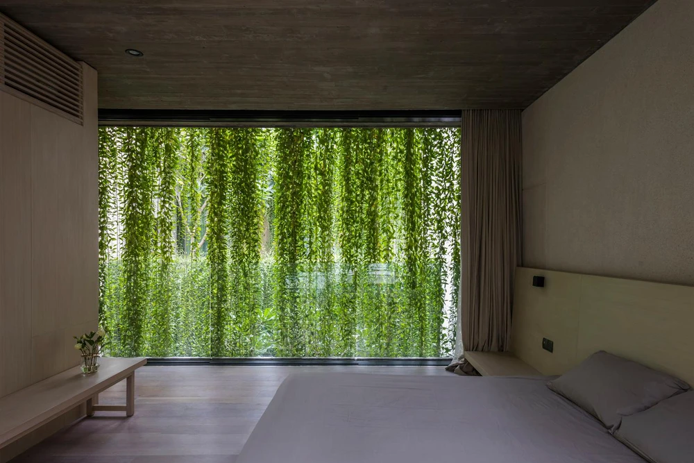 Phòng ngủ tiếp giáp với dàn dây leo khiến không gian nghỉ ngơi trở nên gần gũi, thoáng mát hơn.