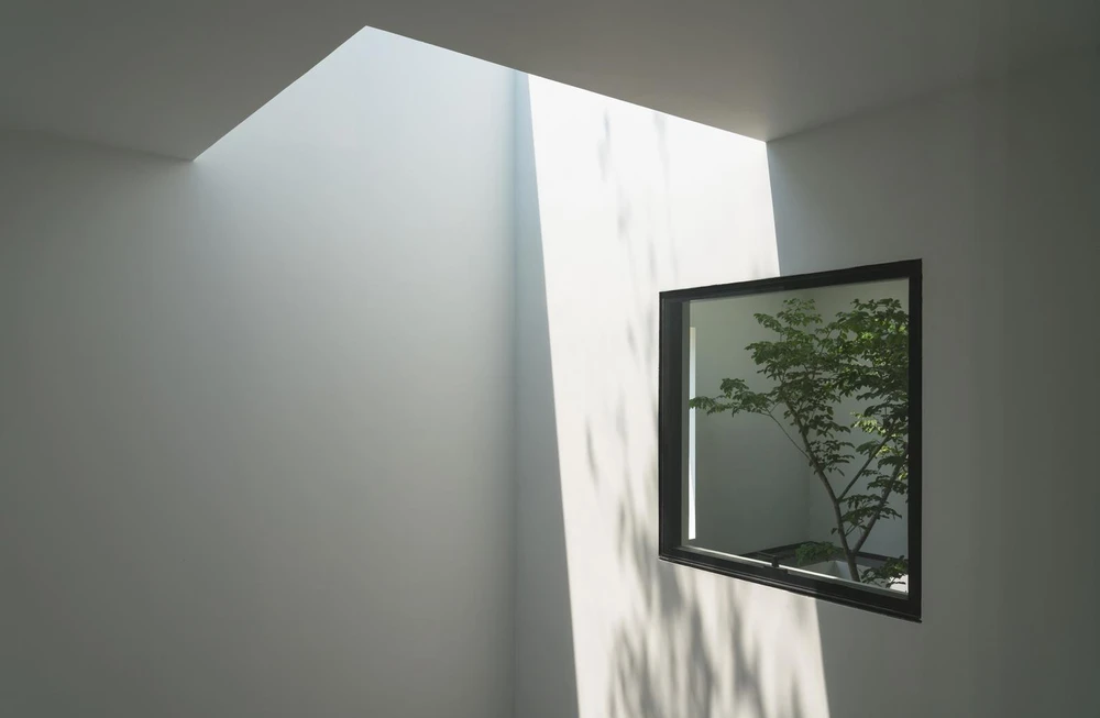 Không gian kết nối theo chiều dọc giữa ngôi nhà và bầu trời nên các thành viên có thể cảm nhận được thời tiết trong ngày một cách trực tiếp.