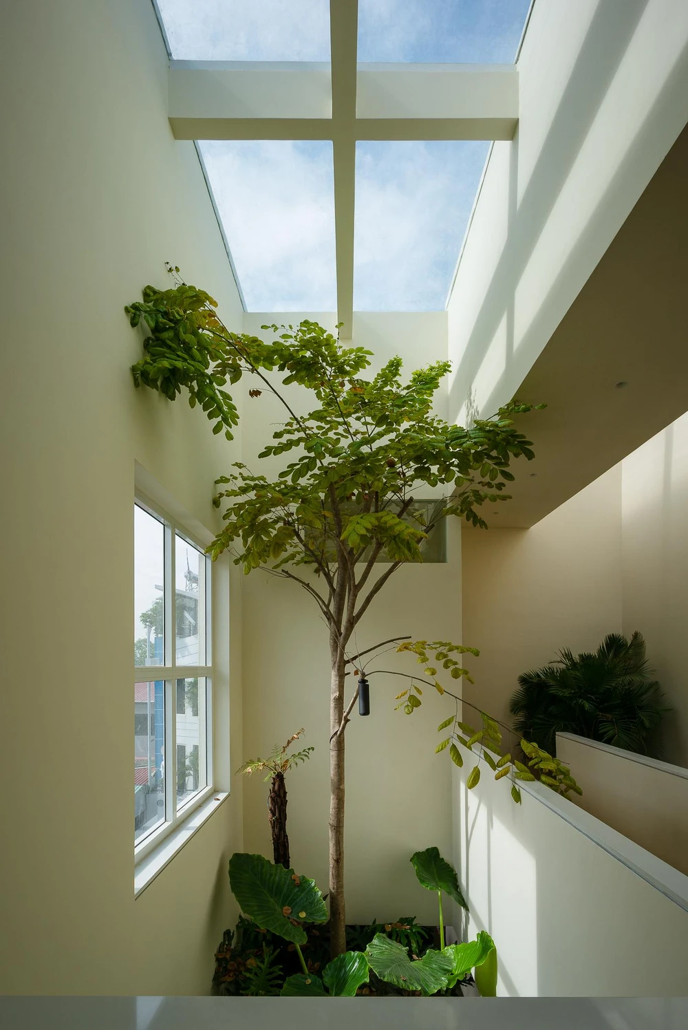 Thay vì thiết kế mặt đứng cho chính công trình, kiến trúc sư đề xuất một mặt đứng trải dài theo khu đất.