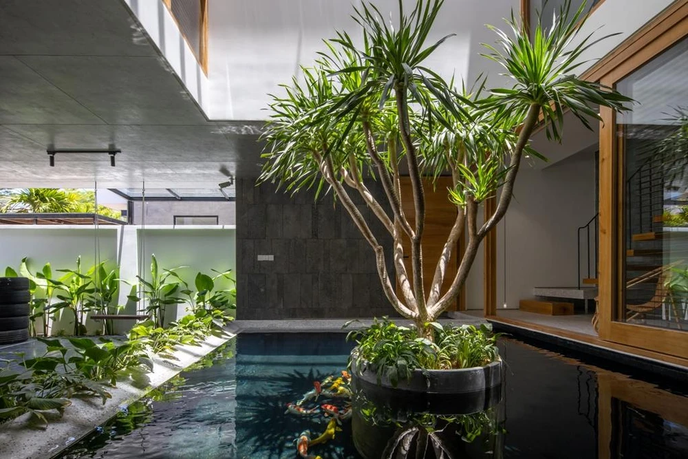 Mọi sinh hoạt gia đình và làm việc của văn phòng đều xoay quanh khoảng sân trong và giếng trời rộng có hồ nước và cây xanh làm trung tâm kết nối.