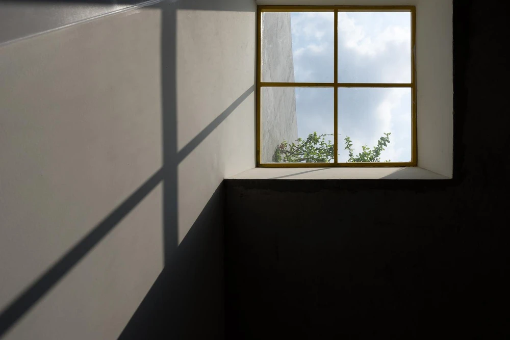 Kiến trúc thiết kế Up2green với nhiều cách lấy sáng: từ mái lợp, cửa sổ...