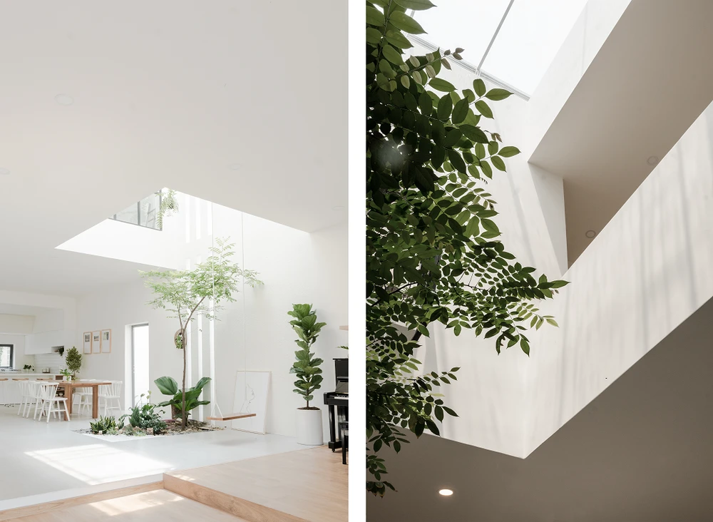 Cây xanh đặt tại vị trí giếng trời mang đến cảm giác thanh bình và gần gũi.