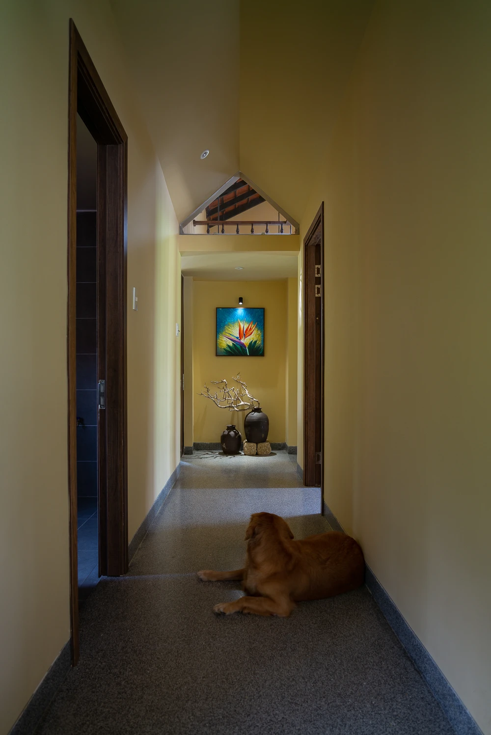 Người con trai muốn phá dỡ để xây lại một căn nhà mới dành tặng cho ba mẹ và nơi để anh chị em đi xa trở về, nghỉ ngơi vào những dịp lễ, tết.