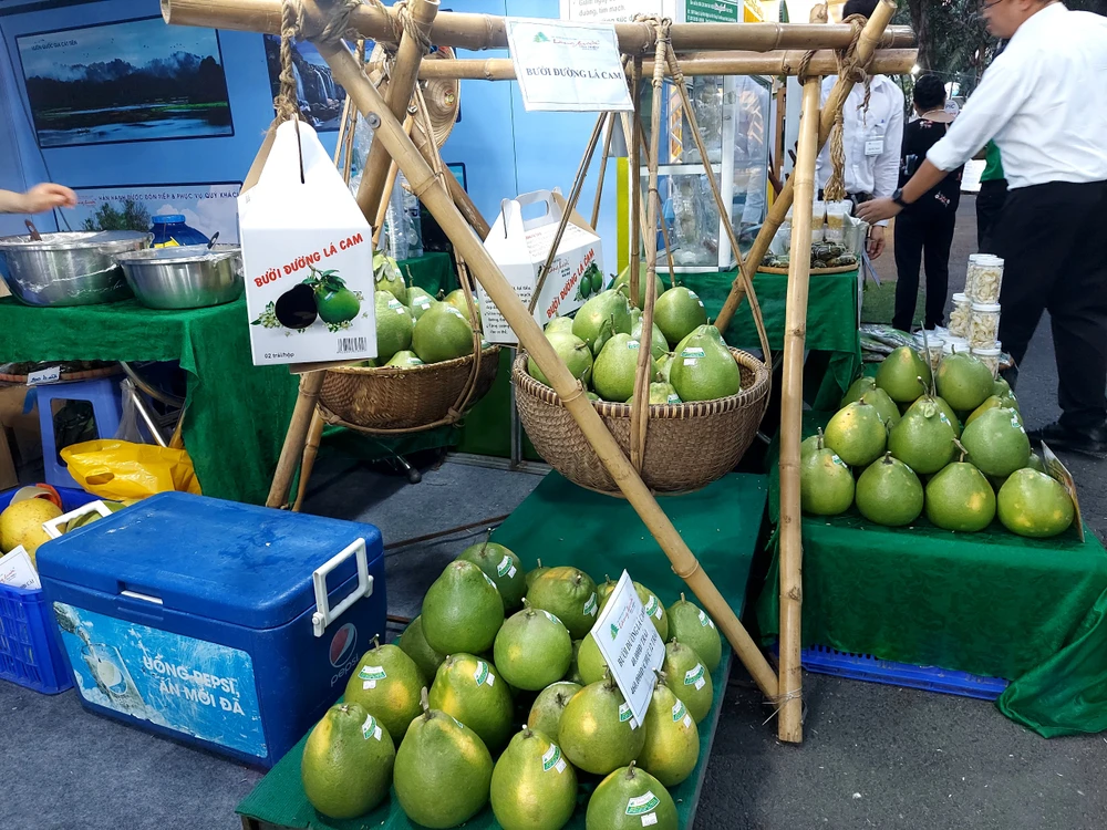 Bưởi đường lá cam, đặc sản tỉnh Đồng Nai.