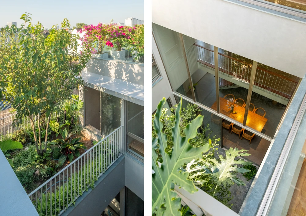 Tường ngoài bằng gạch sơn nước xi măng, kết hợp với bồn cây và trần bê tông tạo cảm giác mộc mạc.