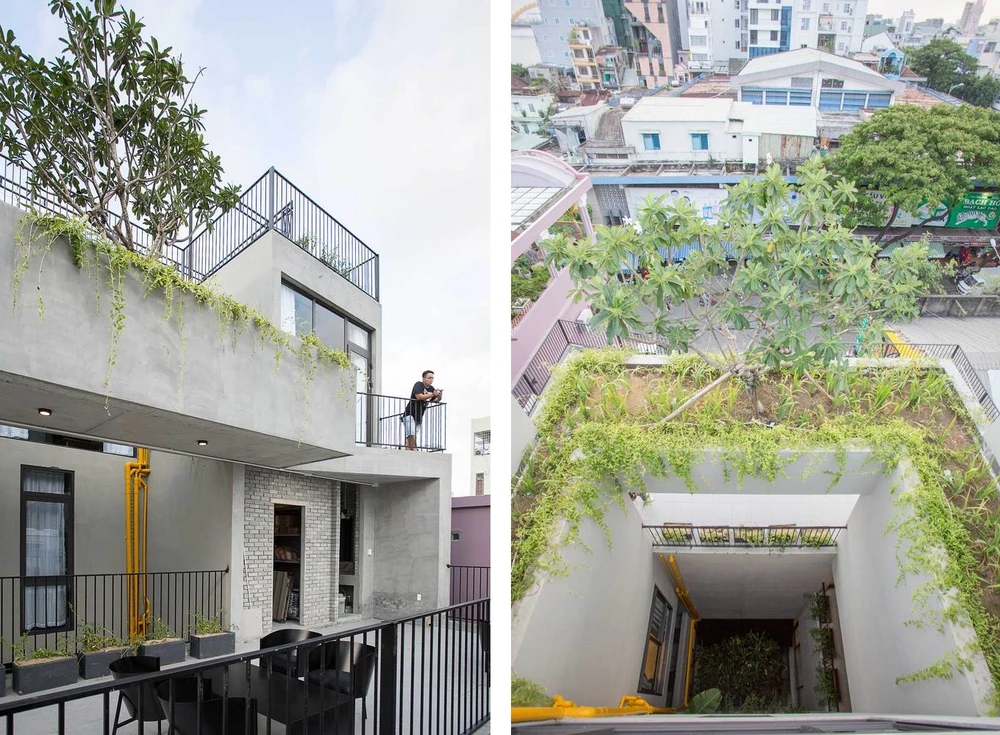 Ngoài ra, kiến trúc sư còn sử dụng nhiều cây xanh và ánh sáng mặt trời để lấy nắng và gió làm cho không gian trở nên thoáng mát và thân thiện hơn.