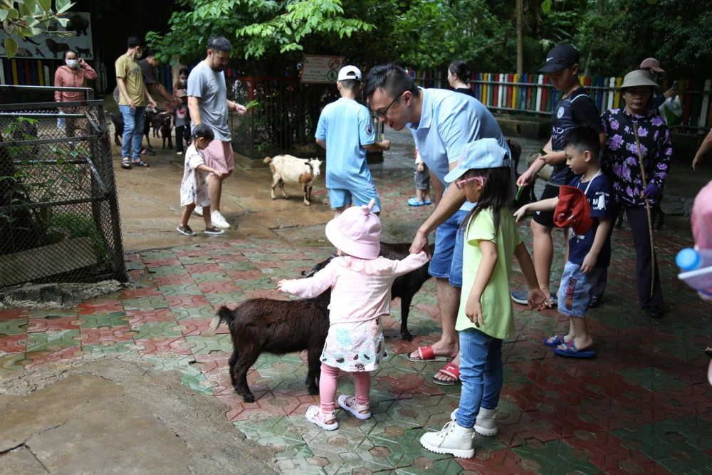 Các em thiếu nhi trải nghiệm cho thú ăn tại Vườn thú.