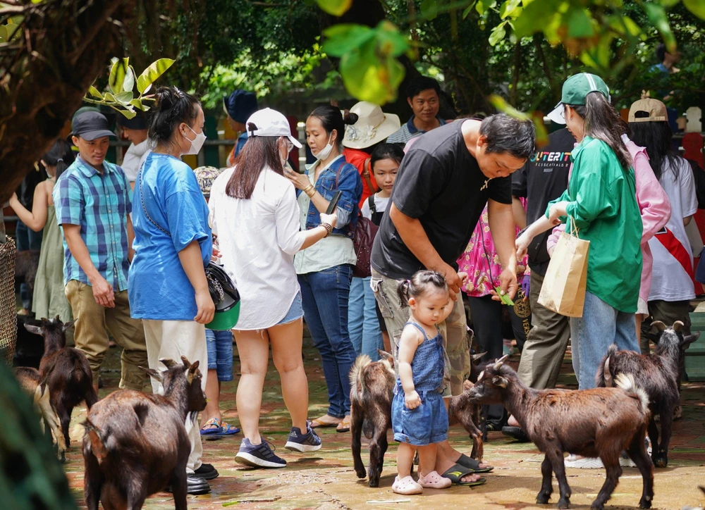 Sau cơn mưa, các gia đình lại ra trải nghiệm thăm thú và cho thú ăn.