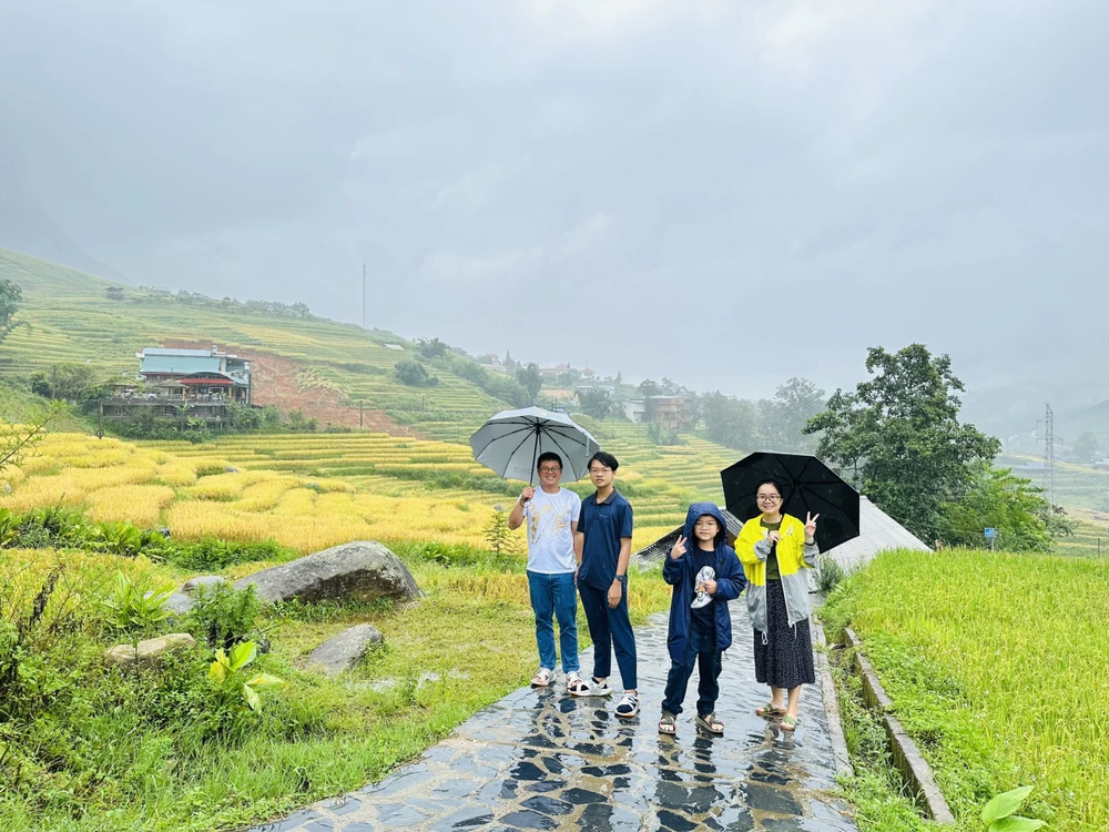 Với các tour miền Bắc nước ta, du khách trải nghiệm ngắm thửa ruộng chín vàng bên các cung đường đèo uốn lượn.