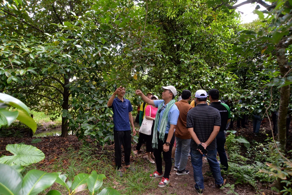 Tỉnh Sóc Trăng phát triển du lịch sông nước miệt vườn, du lịch cộng đồng tại Cồn Phong Nẫm (huyện Kế Sách).