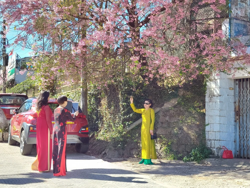 Đà Lạt trở thành điểm đến được du khách Việt Nam tìm kiếm nhiều nhất.