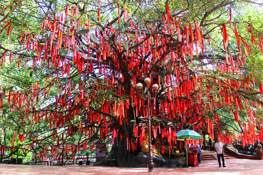 Những dải lụa hồng ghi dấu lời ước nguyện được treo lên cây, bay phất phơ trong gió tạo nên một cây Ước Nguyện tuyệt đẹp.