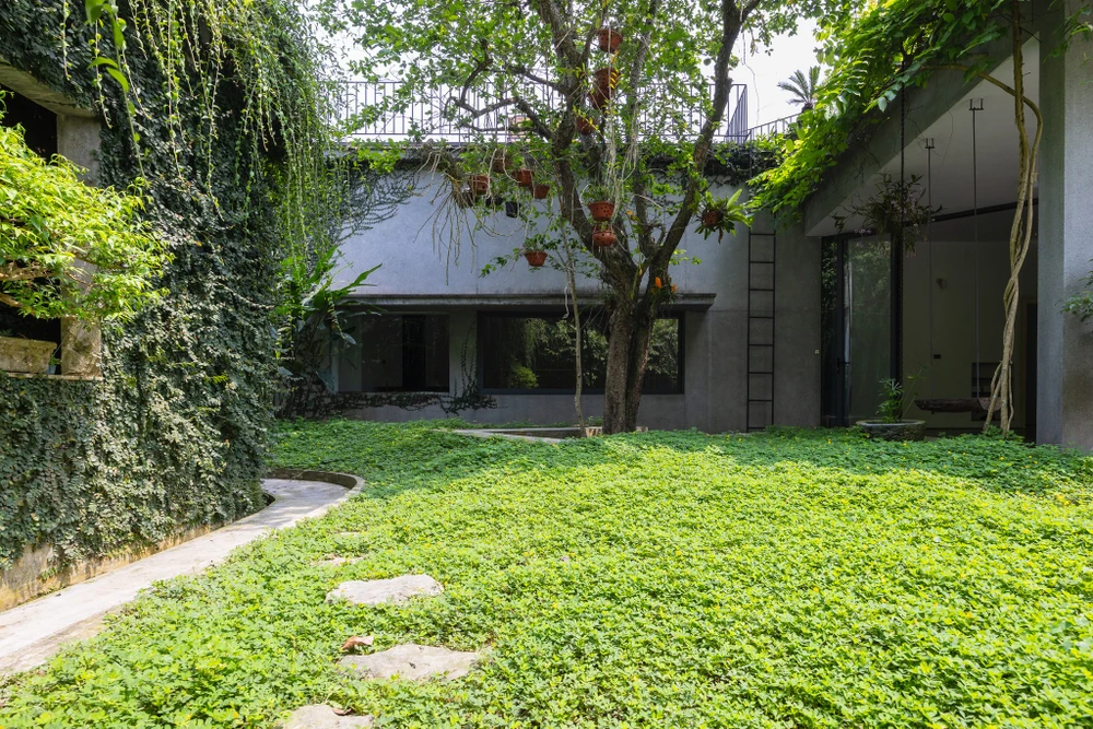 Ngôi nhà được bao bọc bởi thảm thực vật xanh mát.