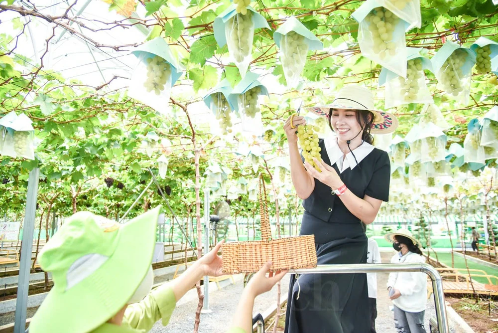 Du lịch Net Zero phải được xem là mục tiêu chung của các ngành tổng hợp.