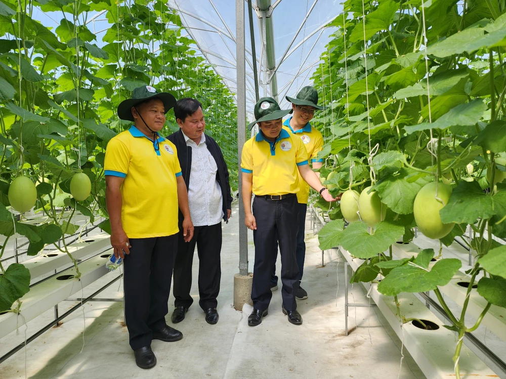 TP.HCM đang tập trung xây dựng hệ sinh thái sản phẩm du lịch đặc trưng tại từng địa phương. Ảnh: TT.