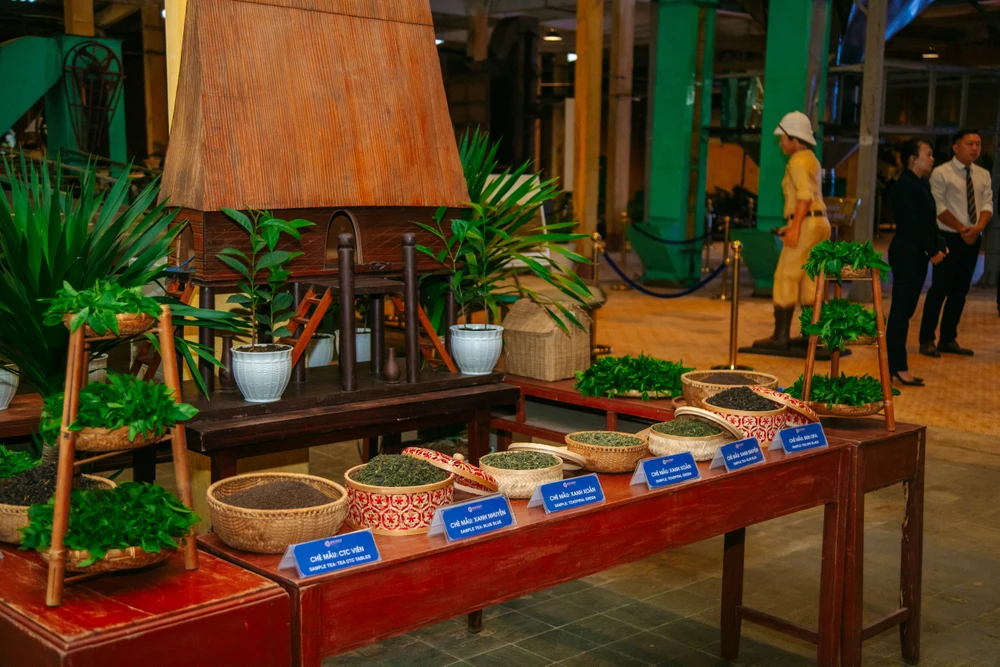 Các dòng mẫu trà.jpg