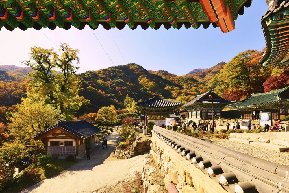 Yangpyeong, Seoul, Hàn Quốc_batch_300.jpg