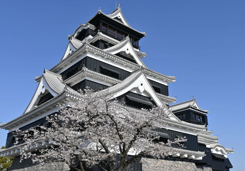 Thành Kumamoto(1)©Kumamoto Castle Office.jpg