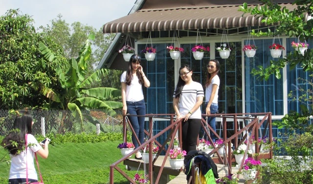 Về làng hoa Sa Đéc chụp ảnh 'tự sướng' ảnh 5