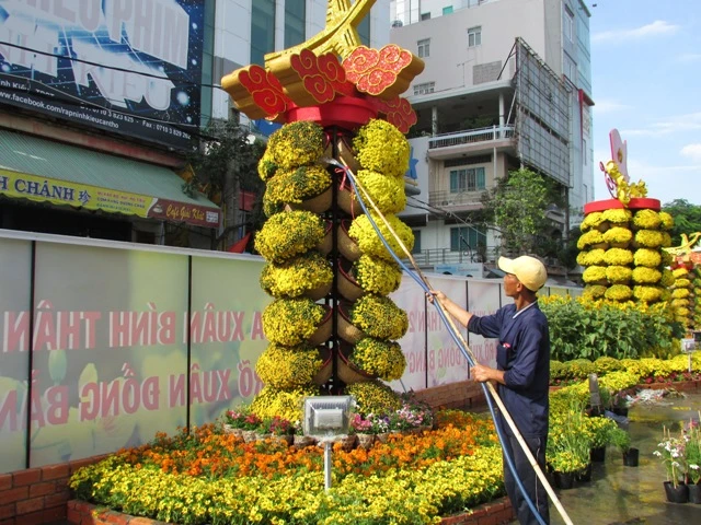 Đường hoa TP Cần Thơ năm nay có gì hay, lạ? ảnh 7