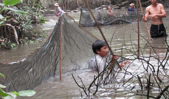 Thú vị với cảnh dỡ chà ăn Tết ở miền Tây ảnh 4 Thú vị với cảnh dỡ chà ăn Tết ở miền Tây ảnh 4
