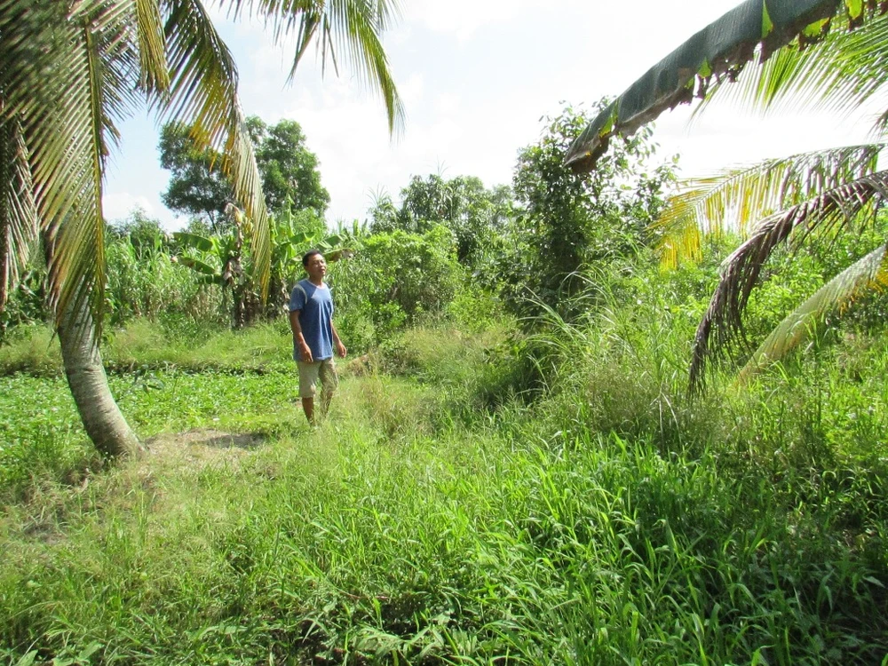  Sẽ chất vấn 3 sở Xây dựng, Giáo dục và Nông nghiệp ảnh 2