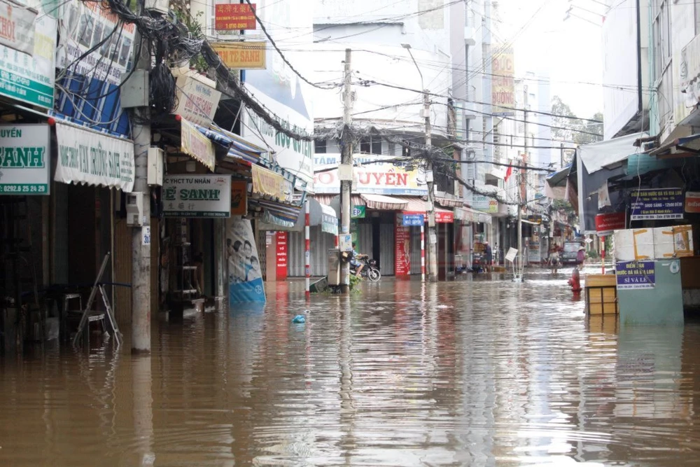 trieu-cuong-tp-can-tho (6).jpg