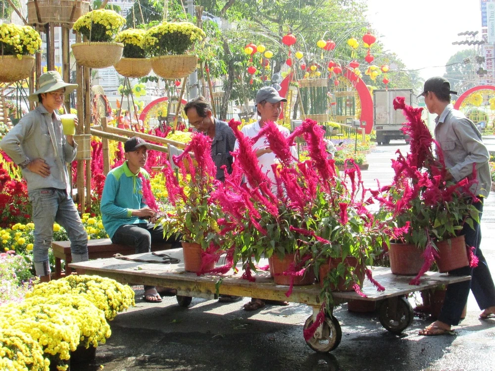 thi công đường hoa nghệ thuật TP Cần Thơ năm 2018.