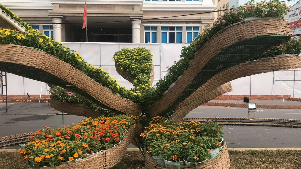 duong-hoa-tp-can-tho-2025 (7).jpg