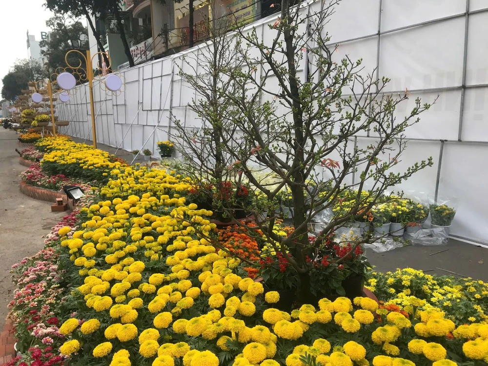 duong-hoa-tp-can-tho-2025 (8).jpg