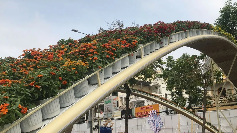 duong-hoa-tp-can-tho-2025 (9).jpg