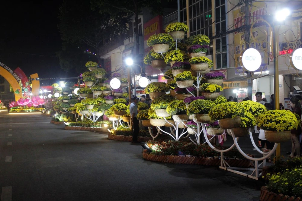 khai-mac-duong-hoa-nghe-thuat-tp-can-tho-1 (7).JPG